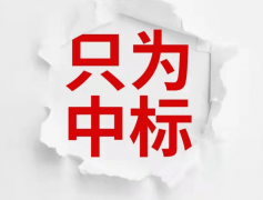 模仿评标专家视角